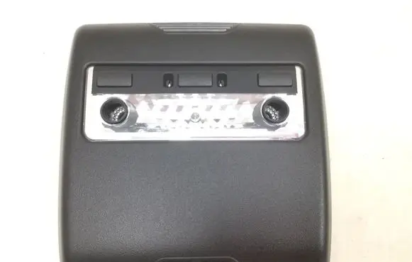 BMW X5 E53 Front seat light 