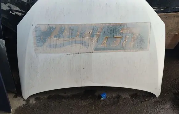 Engine bonnet/hood