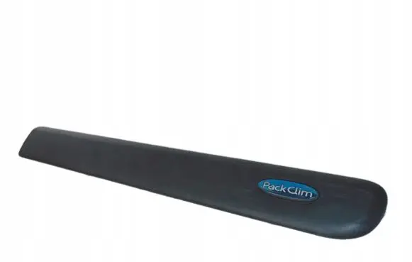 Renault Kangoo I Front door trim (molding)