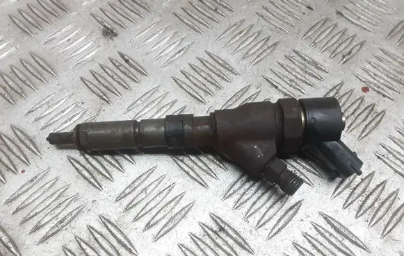 Citroen Xsara Fuel injector 9641742880 0445110076