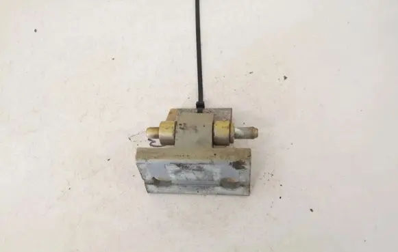 Volvo S60 Rear door lower hinge