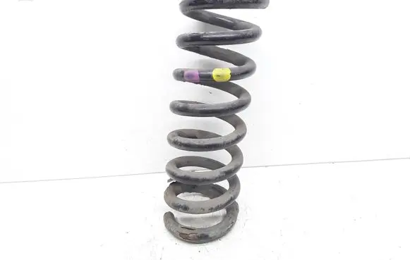 Mercedes-Benz E C207 W207 Rear coil spring 
