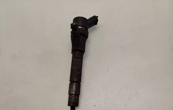 Renault Scenic II - Grand scenic II Fuel injector 0445110021