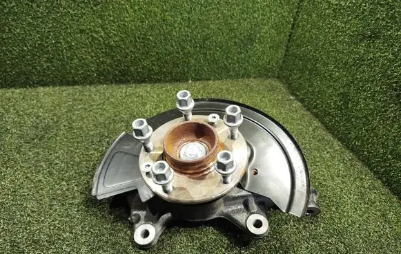 Renault Kangoo III Front wheel hub spindle knuckle 411516635R