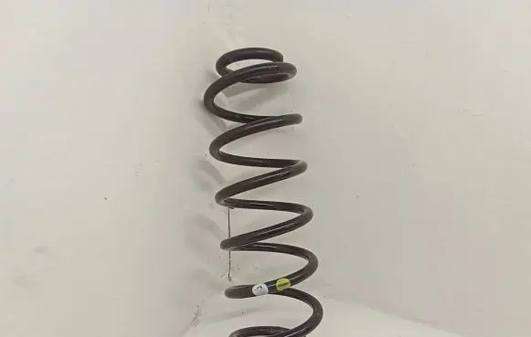 Volkswagen Beetle A5 Rear coil spring