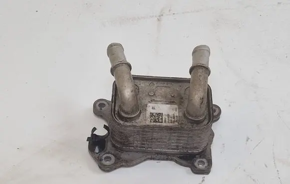 Nissan Qashqai Engine oil radiator 213052032R TEGL0871