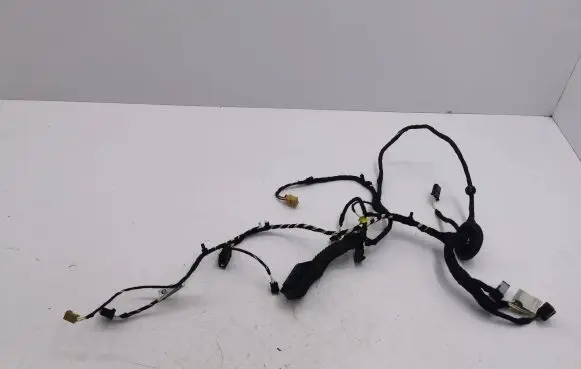 Volkswagen Golf VIII Front door wiring loom 5H4971161FQ