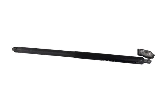 Opel Insignia A Tailgate/trunk strut/damper 315005777