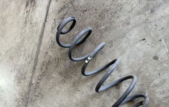 Rear coil spring