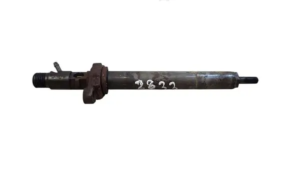 Citroen C5 Fuel injector 9656389980