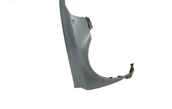 Renault Laguna II Fender