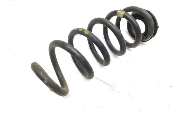 Rear coil spring