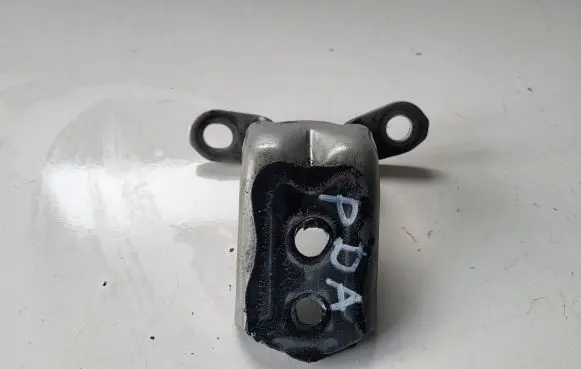 Nissan Qashqai Front door lower hinge 