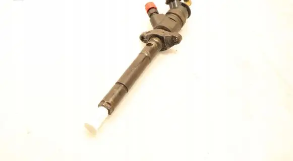 Citroen C5 Fuel injector 0445110297