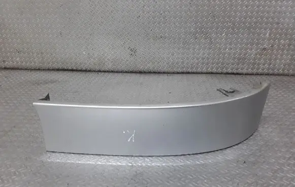 Rear/tail light trim molding