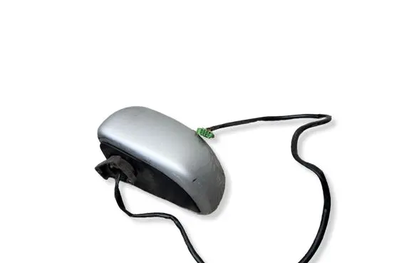 Volkswagen New Beetle Front door electric wing mirror 