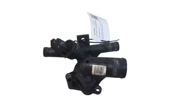 Thermostat/thermostat housing