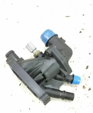 Thermostat/thermostat housing