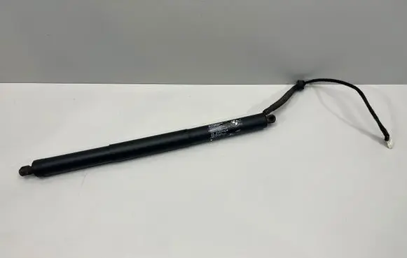Tailgate strut