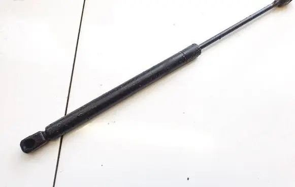 Tailgate/trunk strut/damper