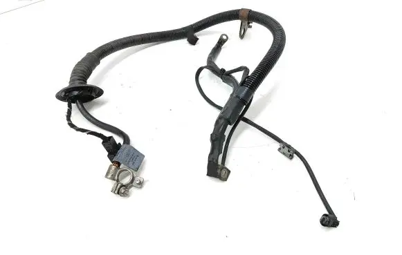 Mercedes-Benz B W245 Negative earth cable (battery) A1695400209