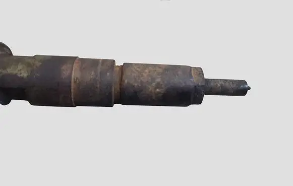 Citroen C3 Fuel injector 0445110252 565889
