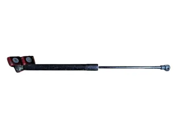 Tailgate/trunk strut/damper