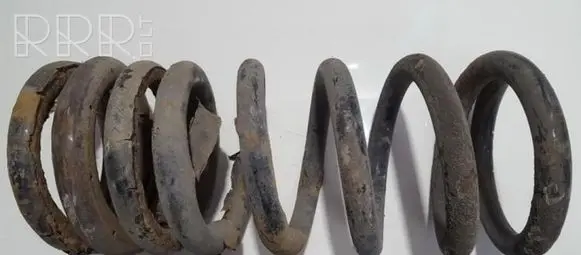 KIA Carnival Rear coil spring