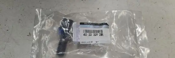 Renault Megane III Nuts/bolts 402222121R