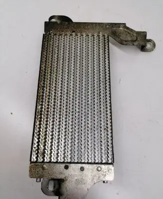 Ford Transit Fuel cooler (radiator) BK219N103AE