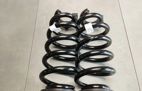 Audi Q4 Sportback e-tron Rear coil spring 1EA511103G