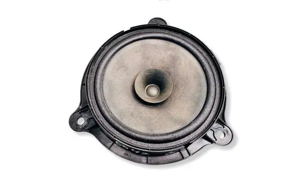 Renault Captur Rear door speaker 