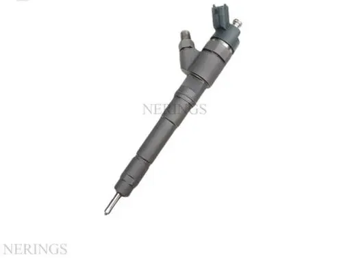 Fiat Ducato Fuel injector 0445120011