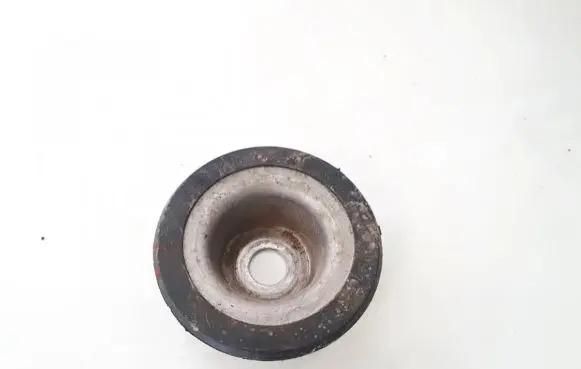 Coil spring mount