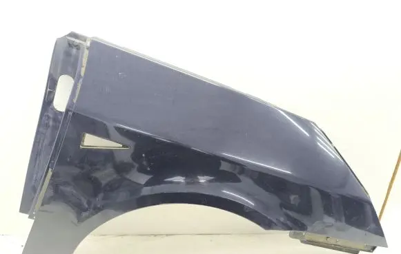 Renault Avantime Fender 6025401709 6025401709B