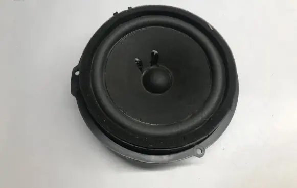 Ford Mustang VI Rear door speaker DS7T18808BB
