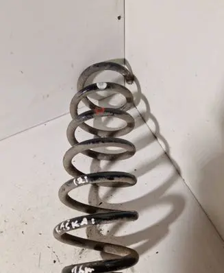 Rear coil spring