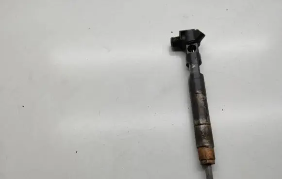 Mercedes-Benz Sprinter W906 Fuel injector A6510700587