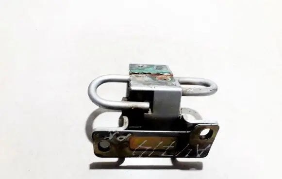 Rear door lower hinge