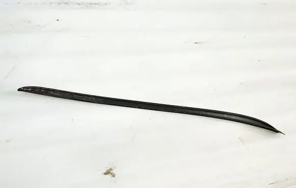 Rear/tail light trim molding