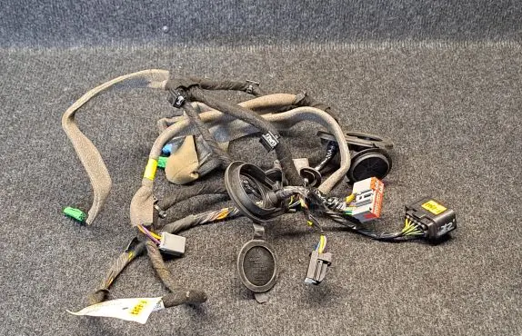 Rear door wiring loom