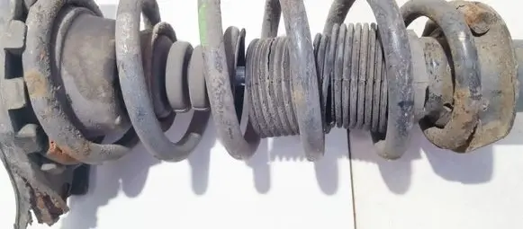 Nissan Primera Rear coil spring