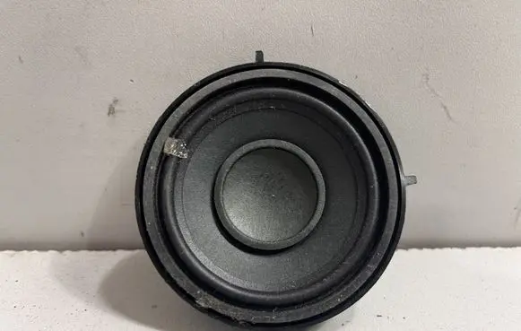 Panel speaker