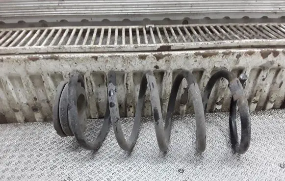 Rear coil spring