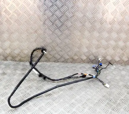 Tesla Model Y Other wiring loom 161669100C