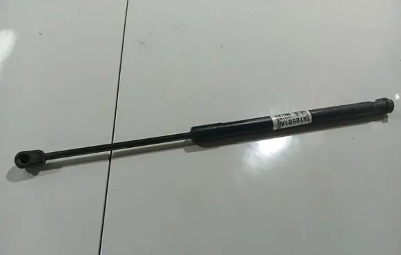 Tailgate/trunk strut/damper