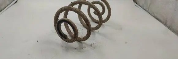 Rear coil spring