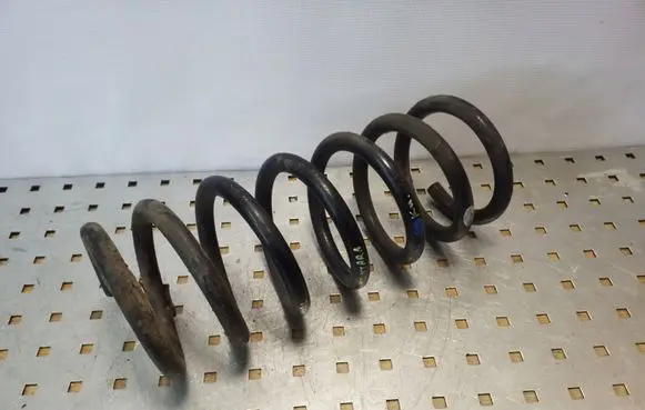 Opel Antara Rear coil spring