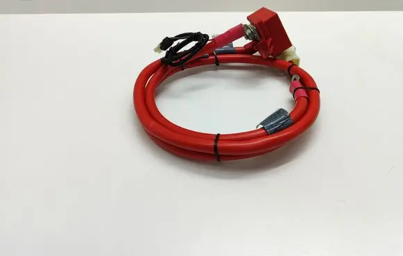 BMW 5 E60 E61 Positive cable (battery) 6989781 6989782 698978202