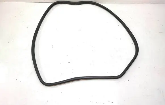 BMW X6 E71 Rear door rubber seal (on body) 